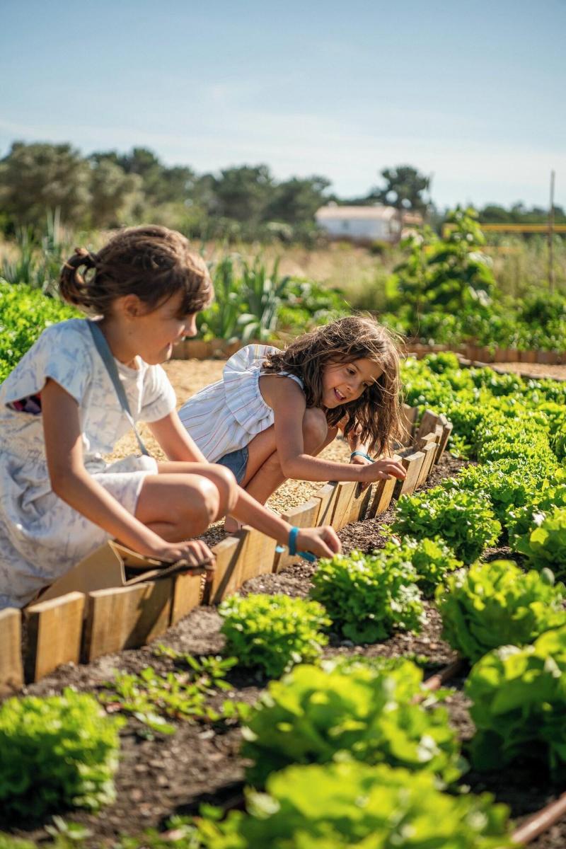 Quinta Da Comporta Wellness Boutique Resort - Teras