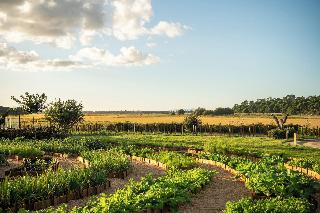 Quinta Da Comporta Wellness Boutique Resort fotoÄŸrafÄ±