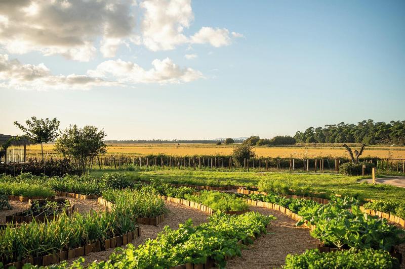 Quinta Da Comporta Wellness Boutique Resort - Teras