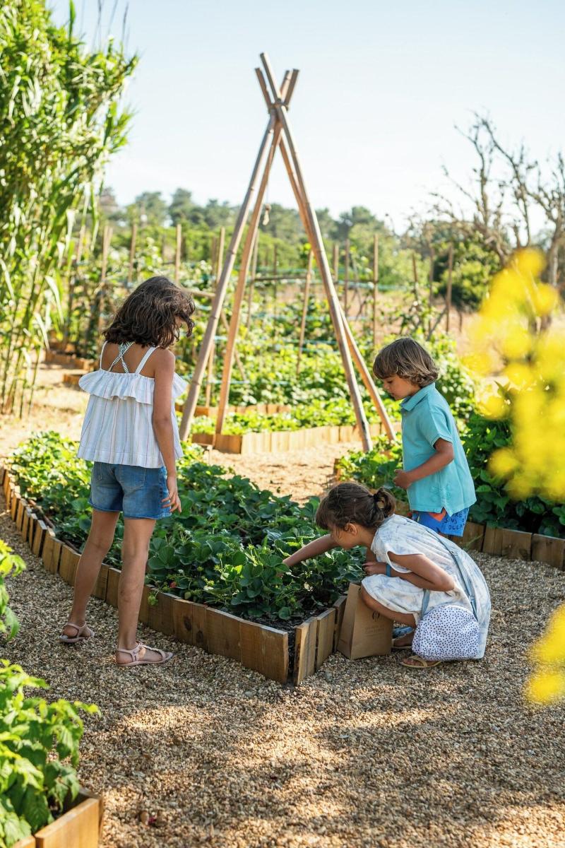 Quinta Da Comporta Wellness Boutique Resort - Teras