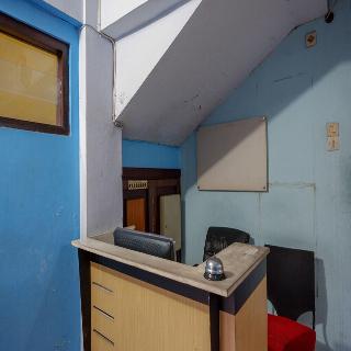 Pineapple Mansion Solo fotoÄŸrafÄ±