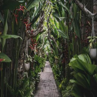 Asvara Villa Ubud by Ini Vie Hospitality fotoÄŸrafÄ±