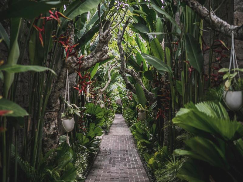 Asvara Villa Ubud by Ini Vie Hospitality - Genel