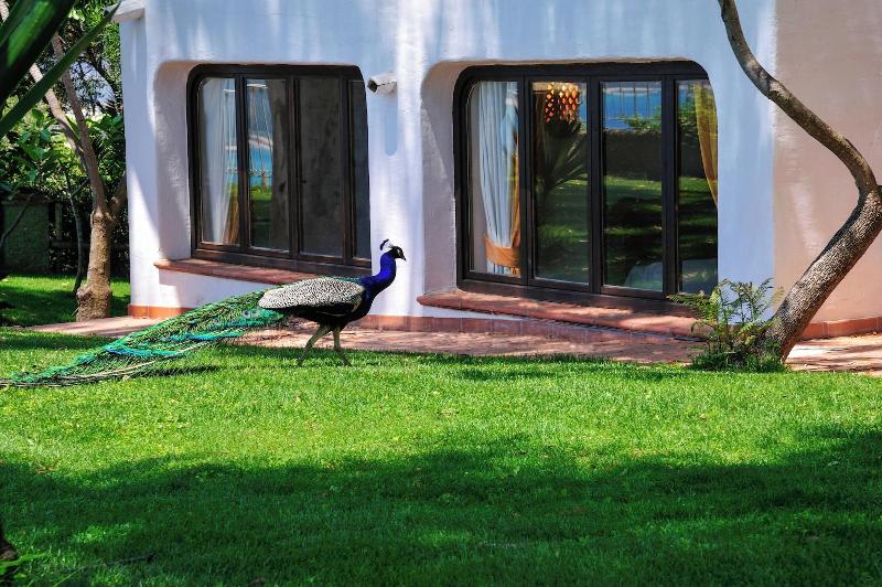 Arbatax Park RES-Ville Del Parco by Falkensteiner - Lobi
