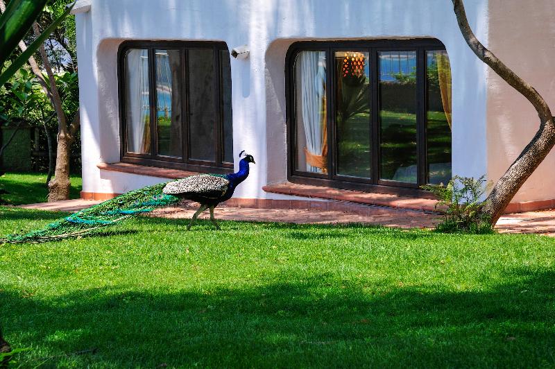 Arbatax Park RES-Ville Del Parco by Falkensteiner - Genel