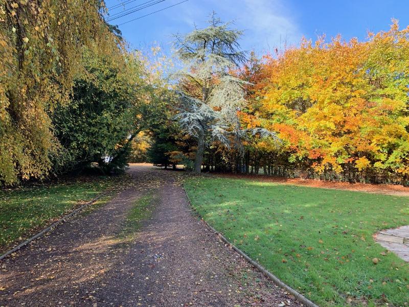 Aldercarr Hall - Genel