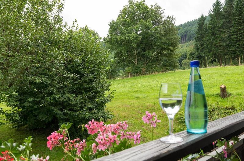 Gasthof & Landhotel Ohrnbachtal - Genel