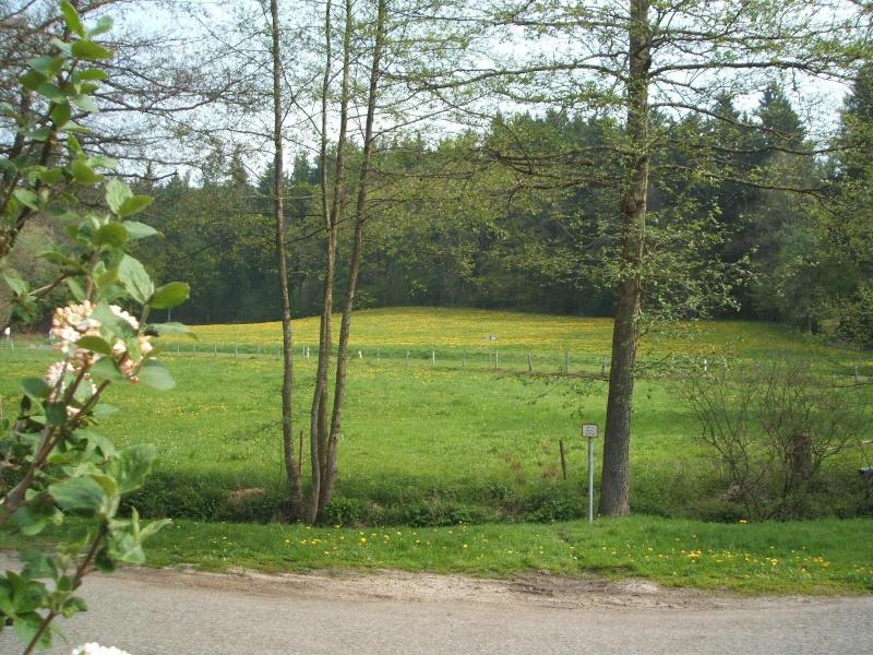 Gasthof & Landhotel Ohrnbachtal - Genel