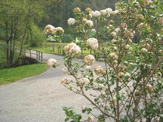 Gasthof & Landhotel Ohrnbachtal fotoÄŸrafÄ±