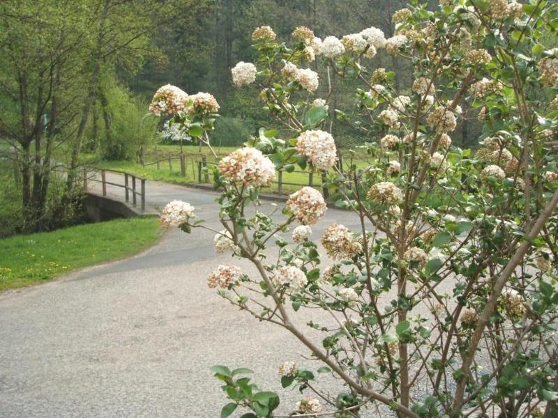Gasthof & Landhotel Ohrnbachtal - Genel