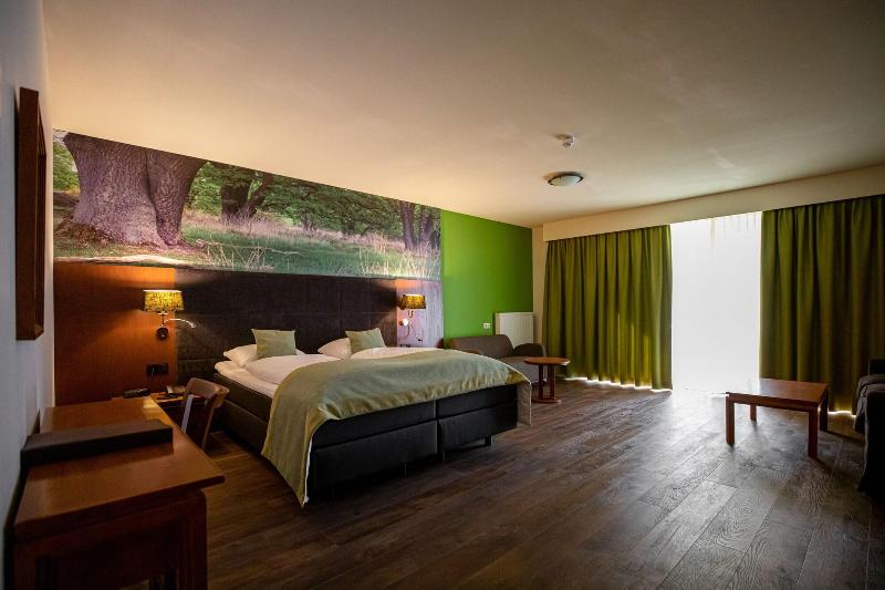 Boshotel Vlodrop - Oda