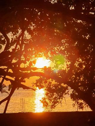 Berakit Bay Resort fotoÄŸrafÄ±