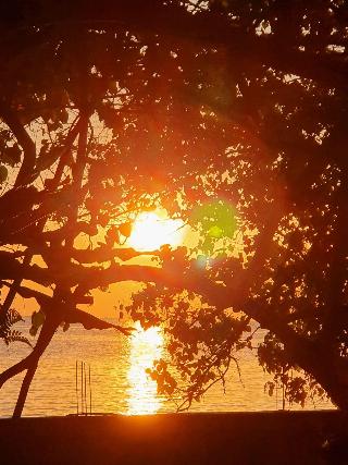 Berakit Bay Resort fotoÄŸrafÄ±