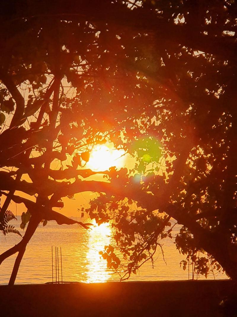 Berakit Bay Resort - Genel