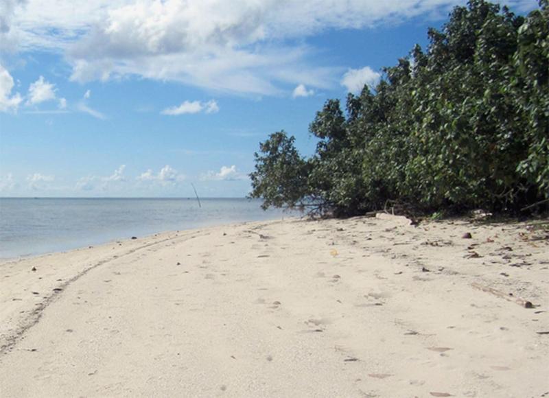 Berakit Bay Resort - Plaj