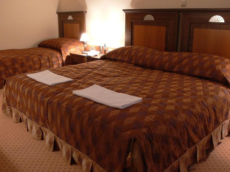 Öreg Miskolcz Hotel - Oda