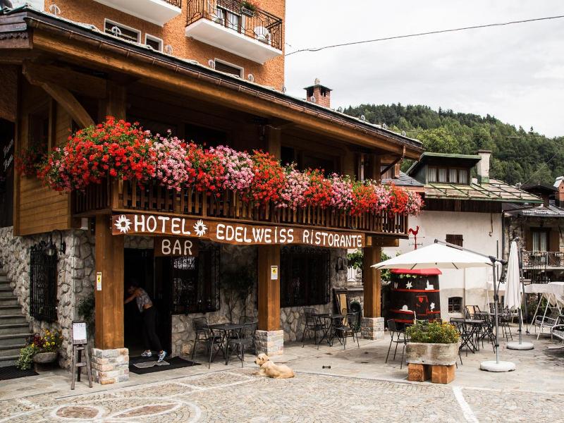 Hotel Edelweiss - Genel