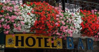 Hotel Edelweiss otel fotoğrafı