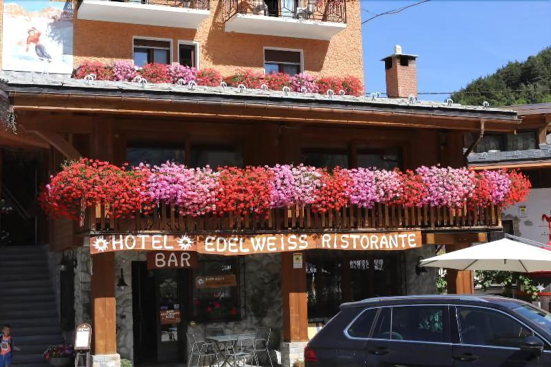 Hotel Edelweiss - Genel