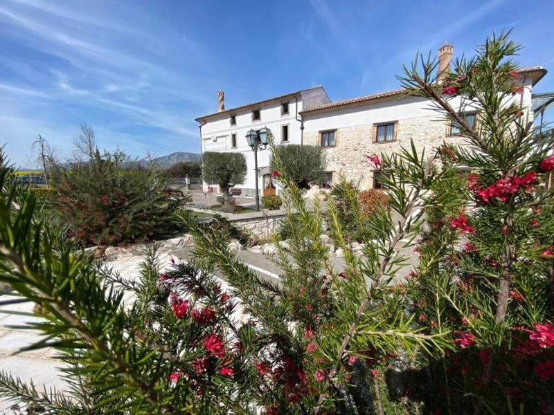 Tenuta D'Ausilio - Genel