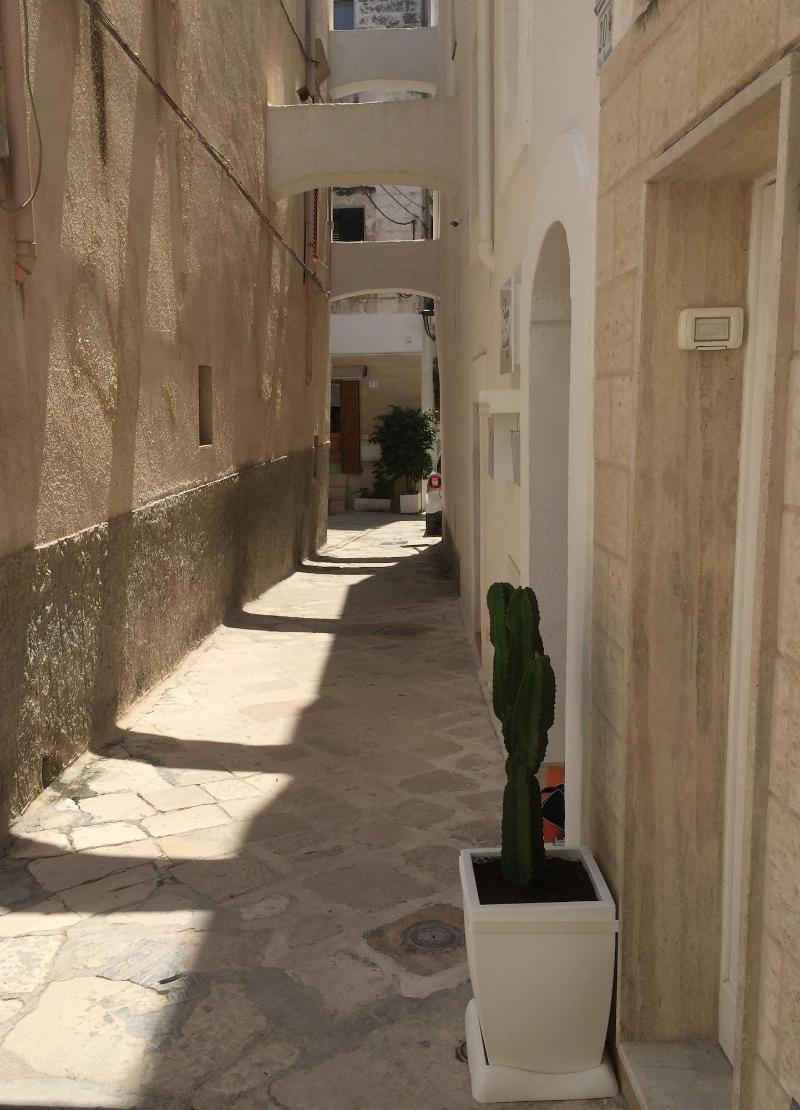 Palazzo Fiscaiolo B&B - Genel
