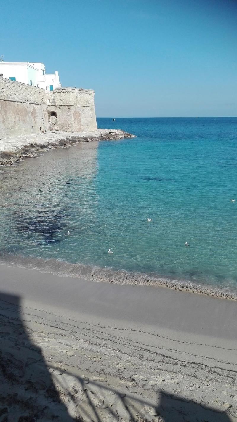 Palazzo Fiscaiolo B&B - Plaj