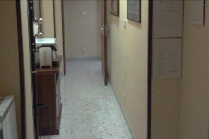 Gatto Bianco Picone 19 - Lobi