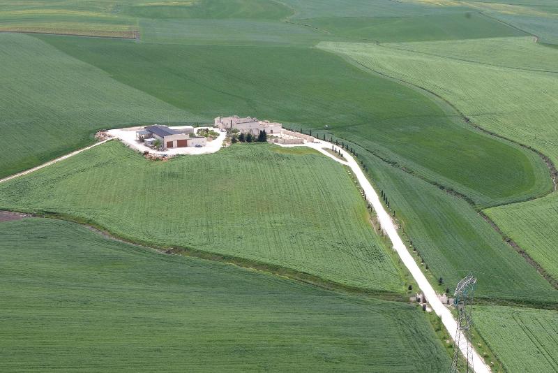 Tenuta Danesi - Teras