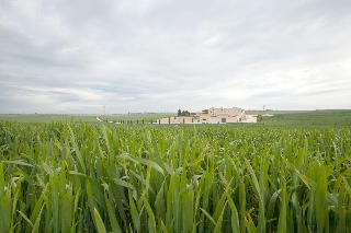 Tenuta Danesi fotoÄŸrafÄ±
