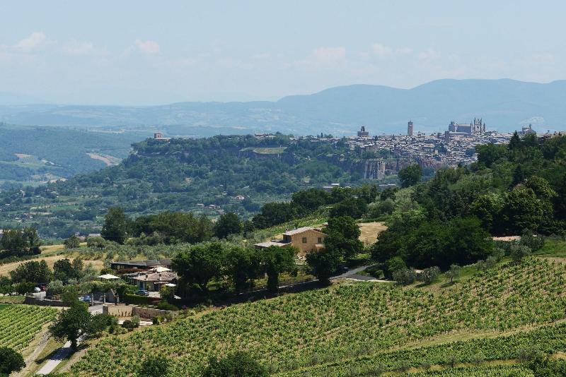 Altarocca Wine Resort - Genel