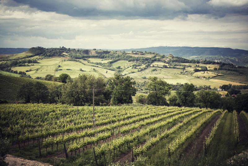 Altarocca Wine Resort - Genel