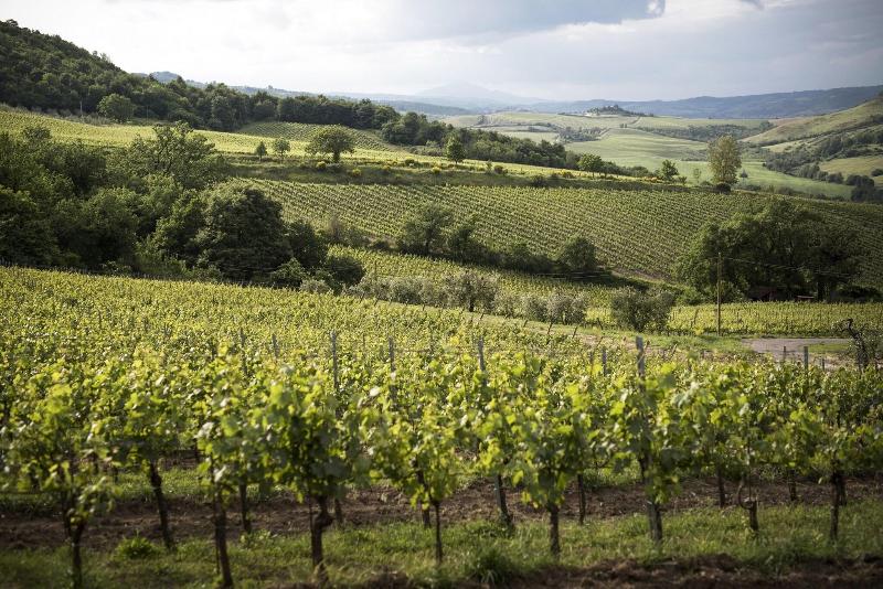 Altarocca Wine Resort - Genel