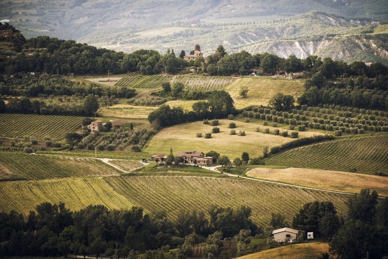 Altarocca Wine Resort - Genel