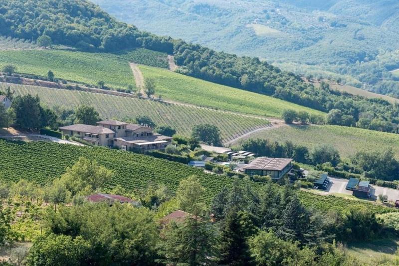Altarocca Wine Resort - Genel