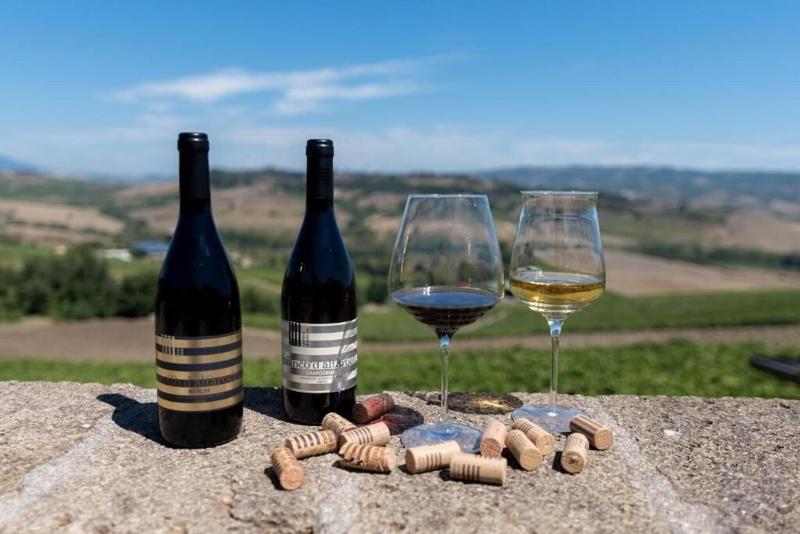 Altarocca Wine Resort - Genel
