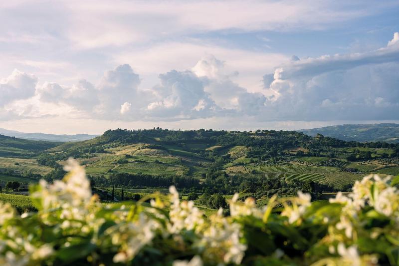 Altarocca Wine Resort - Genel