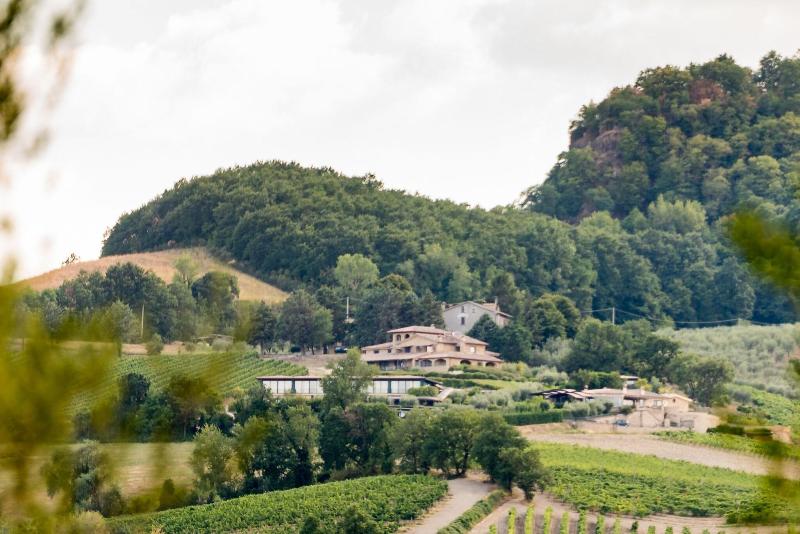 Altarocca Wine Resort - Genel