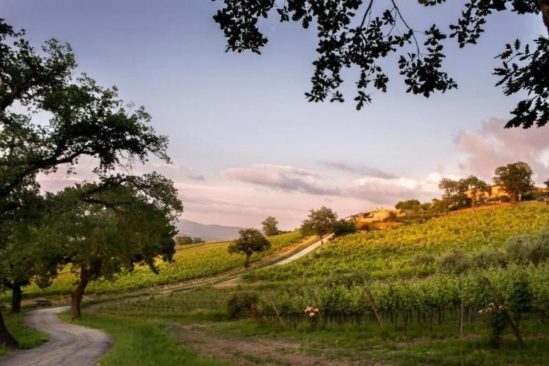 Altarocca Wine Resort - Restoran