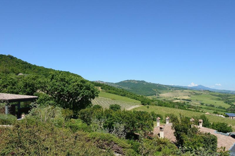 Altarocca Wine Resort - Teras