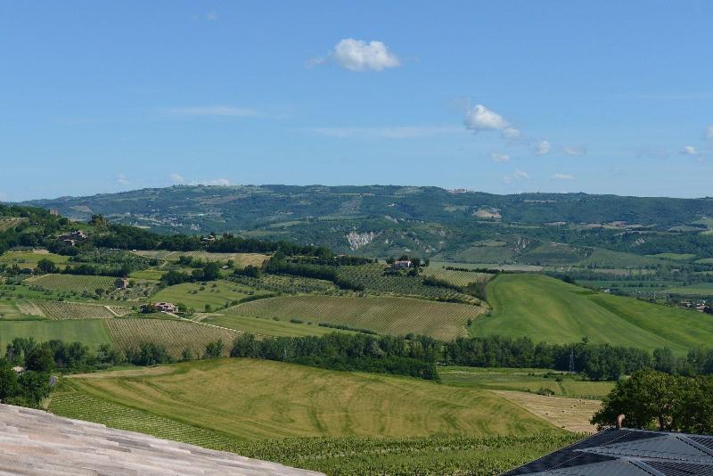 Altarocca Wine Resort - Teras