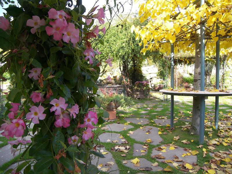 Al Poggio Di Casalucense - Aktivite