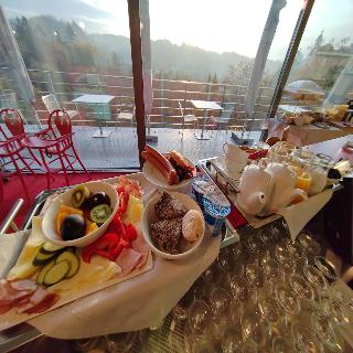 Hotel Rajska Zahrada fotoÄŸrafÄ±