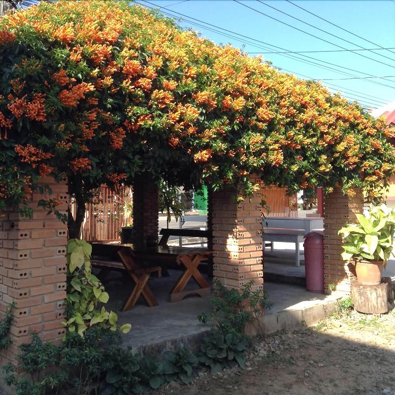 Mitkhoonyoum Hotel - Teras