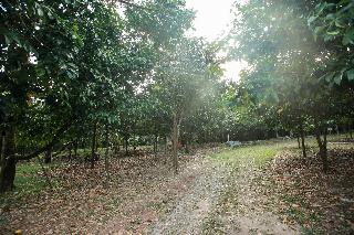 Khao Hin Tang Resort fotoÄŸrafÄ±