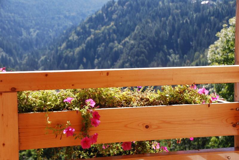 Dolomiti Lodge Villa Gaia - Teras