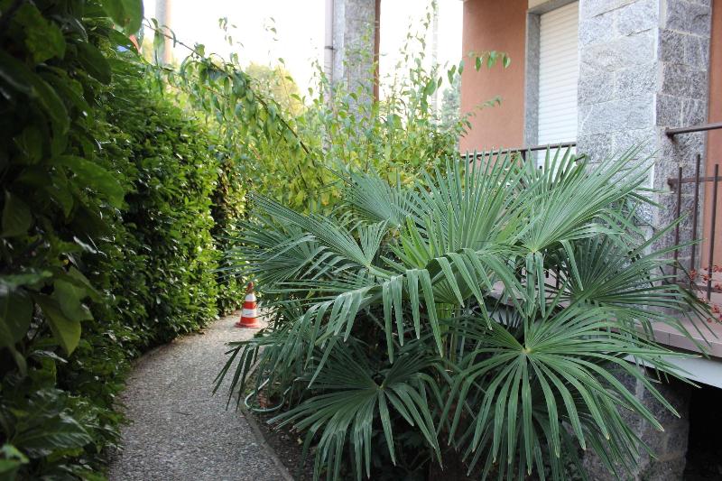 B&B Milano Malpensa 1 - Genel