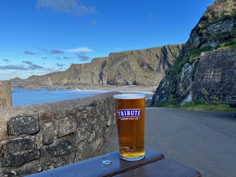 Hartland Quay Hotel - Genel