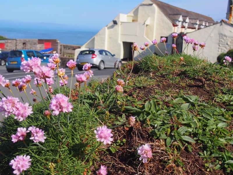 Hartland Quay Hotel - Genel