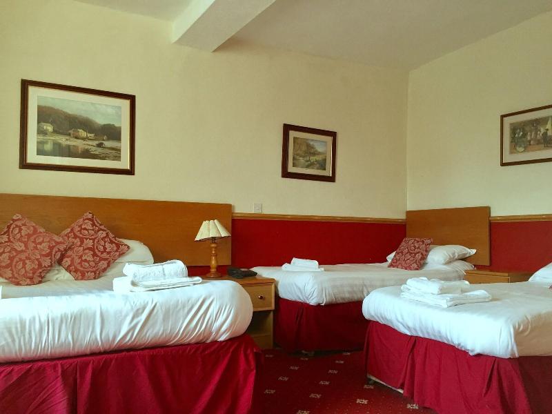 Plas Coch Hotel - Oda