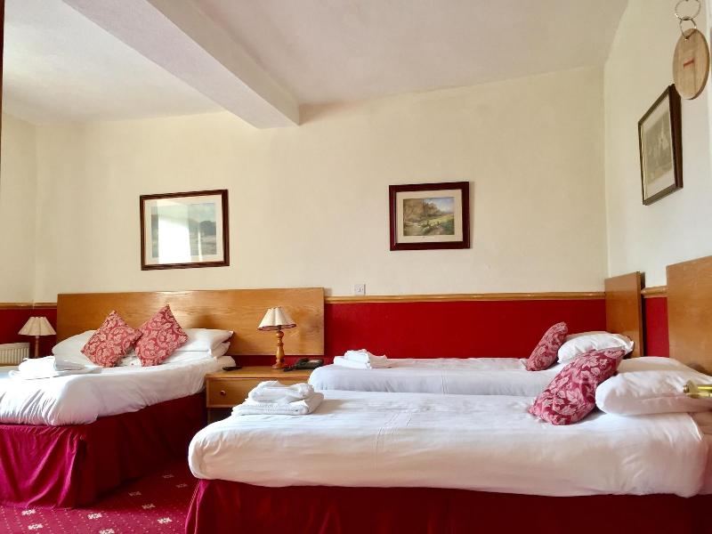 Plas Coch Hotel - Oda